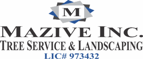 Mazive Inc. Tree Service And Landscaping